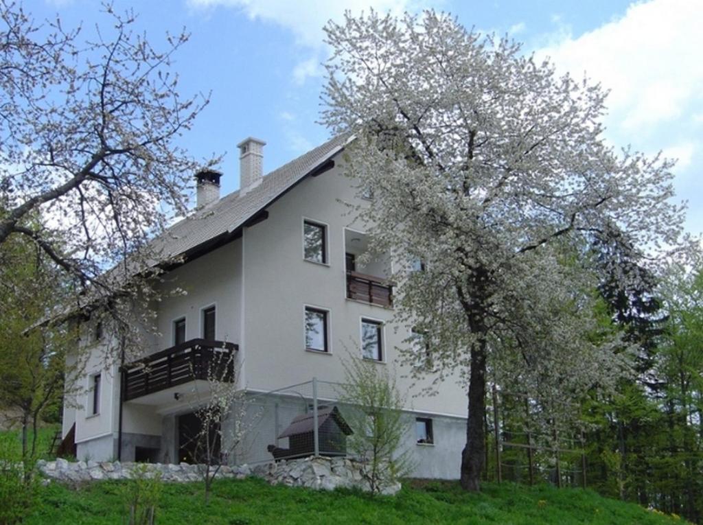 Apartments Pri Marjetki Cerkno Εξωτερικό φωτογραφία